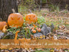 Simple Ways to Decorate for Fall and Halloween