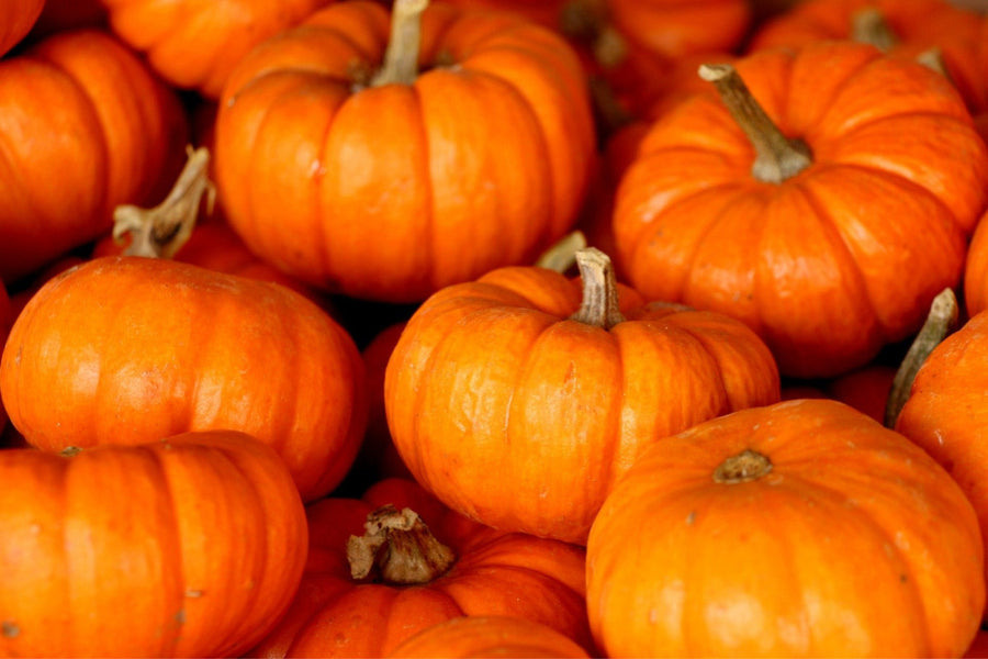 Pumpkin Power: Benefits for Your Skin